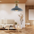 Modern Flush Ceiling Lights Retro Lamp Shades~3682 - Vintagelite