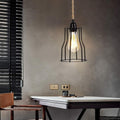 hanging lamp plug
