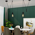 Retro Industrial Vintage Metal Ceiling Light Pendant Lamp-Application Image