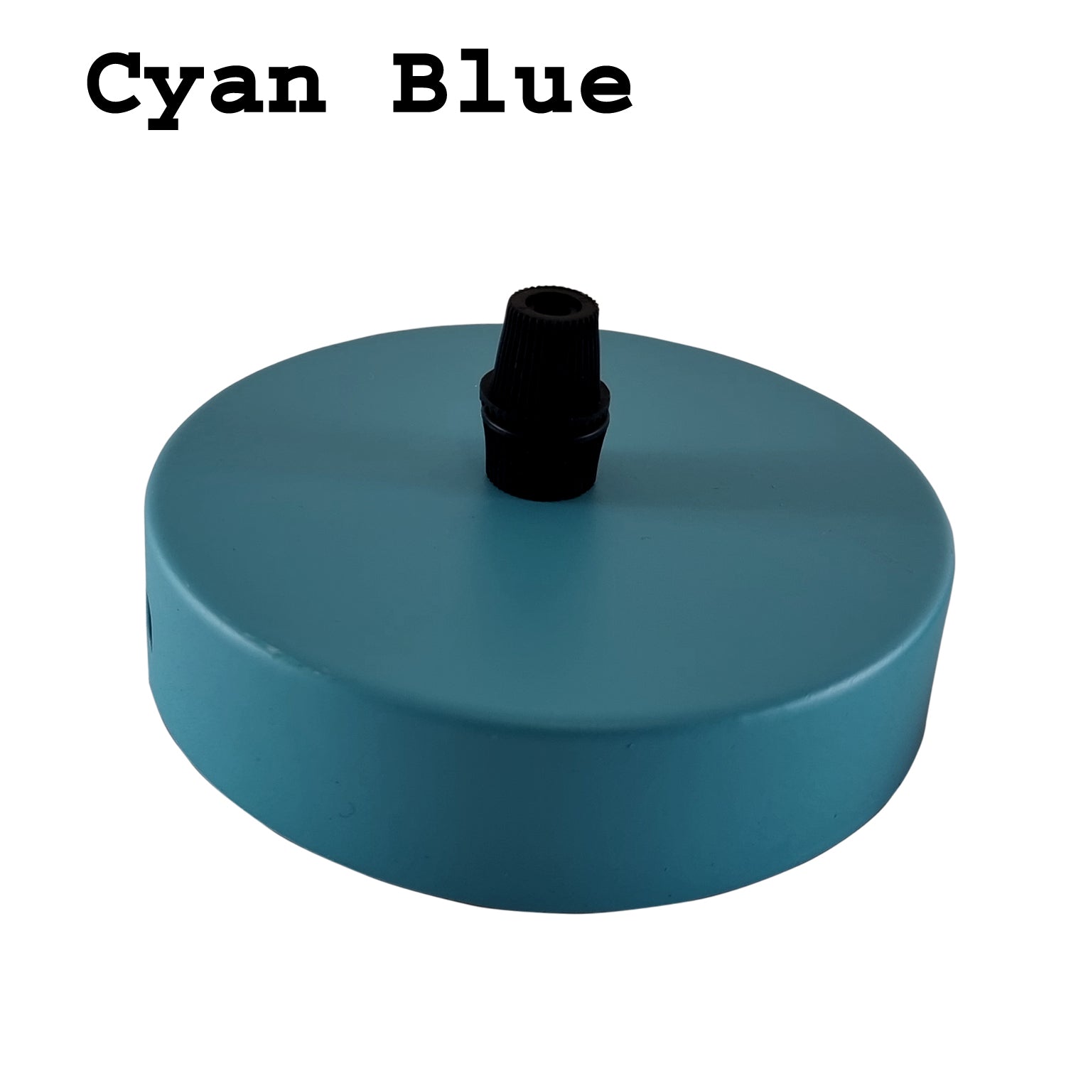 Cyan Blue Rose Single Point Drop Outlet Light Fitting