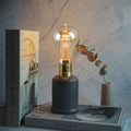 filament light bulb