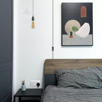 Plug in Pendant Light 2m/4.5m Cable E27 Lamp Holder~4119