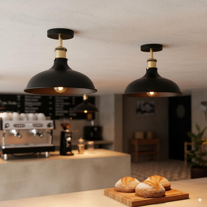 entryway industrial ceiling li