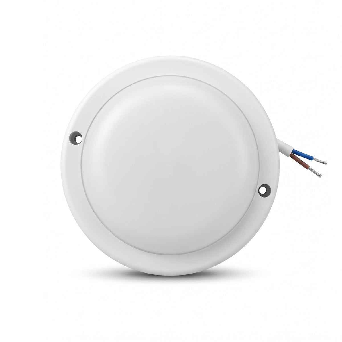 round led flush ceiling light
