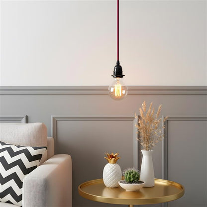 Industrial hanging 4m Plug in Pendant Light Fit~4065