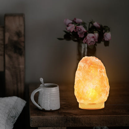 E14 Black UK Plug Light Himalayan Salt Lamp Cord with On/off Switch Safe Plug In ~4228