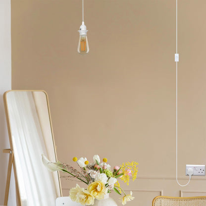 Plug in Pendant Light 2m/4.5m Cable E27 Lamp Holder~4119
