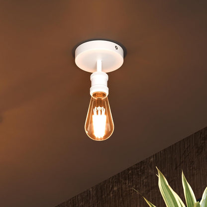 ceiling lamp light fitting
