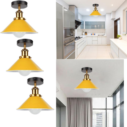 mount ceiling light ceiling li