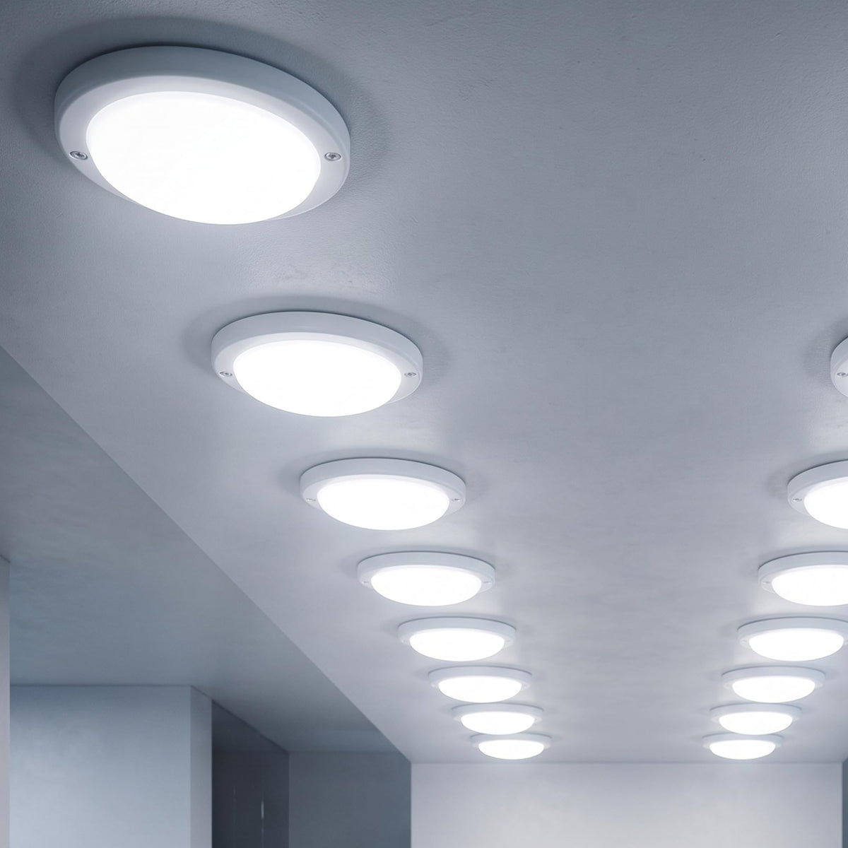 led bulkhead light for bathroo