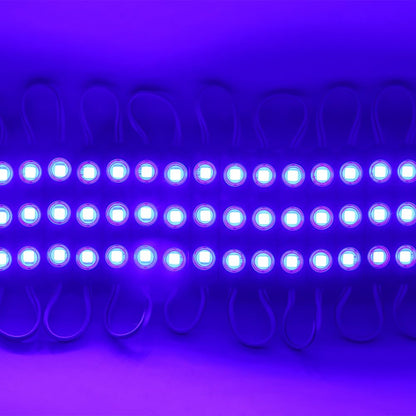 12V 1.5W LED Module Light IP65 Waterproof 10/20 Pcs~4148
