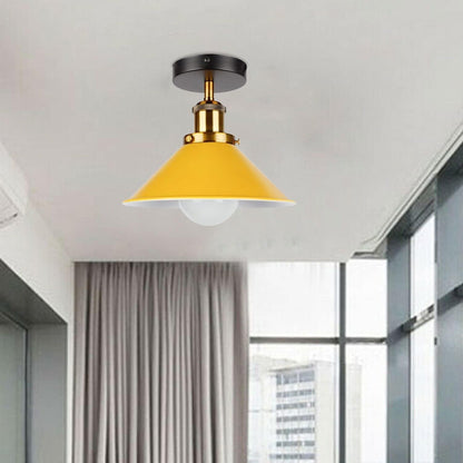 twin pack ceiling lights shade