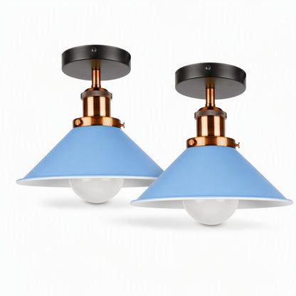 edison screw fixture light