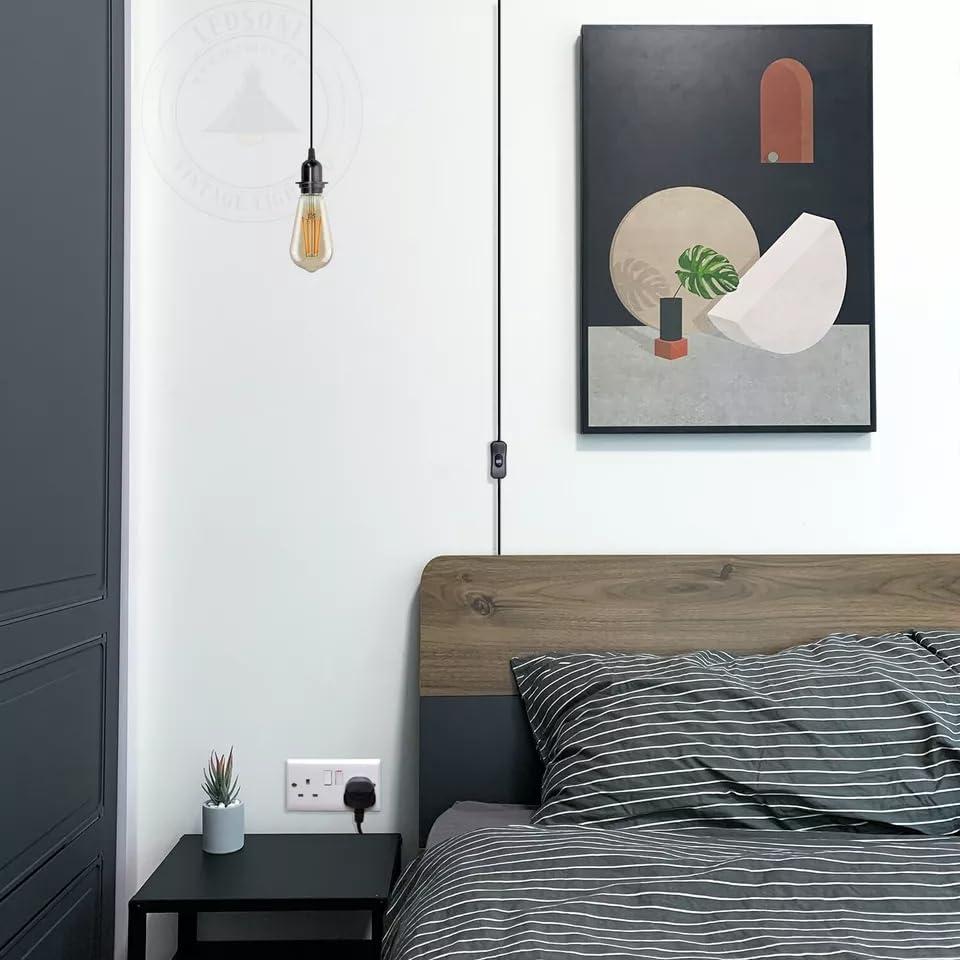 Plug in Pendant Light 2m/4.5m Cable E27 Lamp Holder~4119