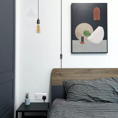 Plug in Pendant Light 2m/4.5m Cable E27 Lamp Holder~4119