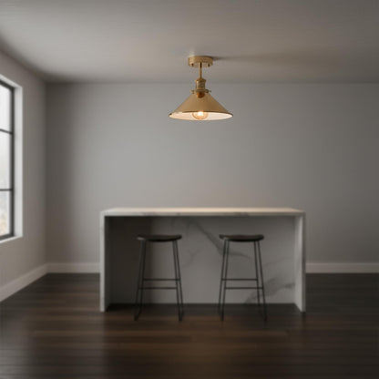 pack 1 ceiling light semi