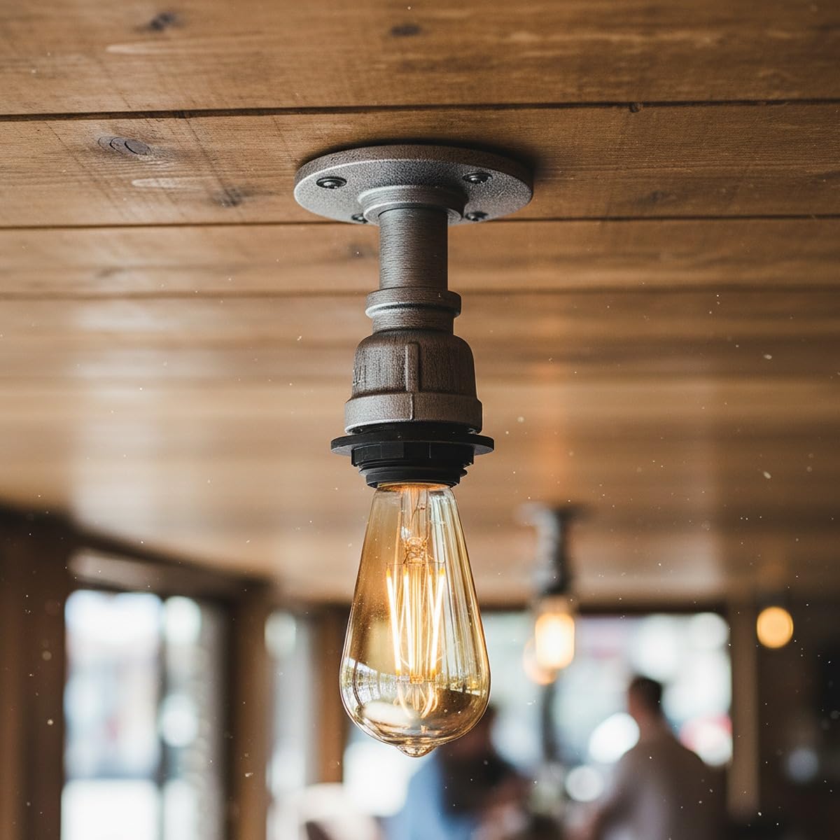 decorative lighting fixture
