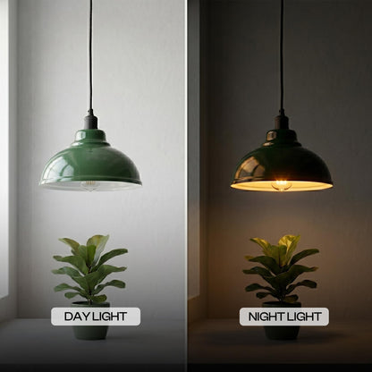2Pack 29cm Lamp Shade,Pendant Ceiling Light Shade~4080