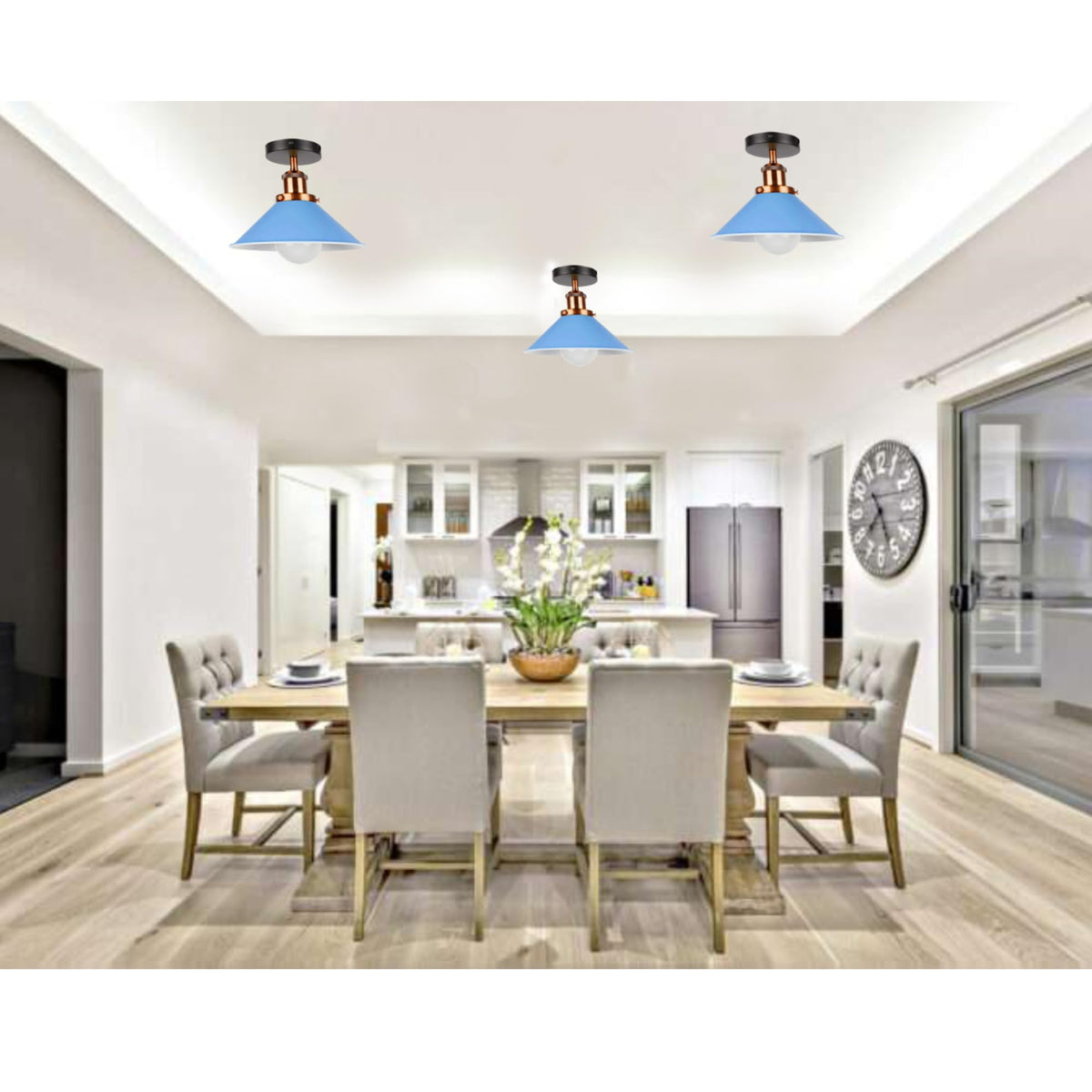 edison screw fixture light