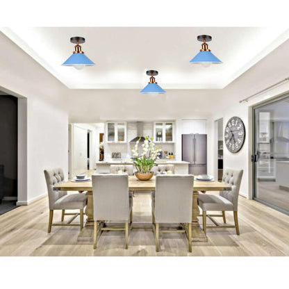 edison screw fixture light