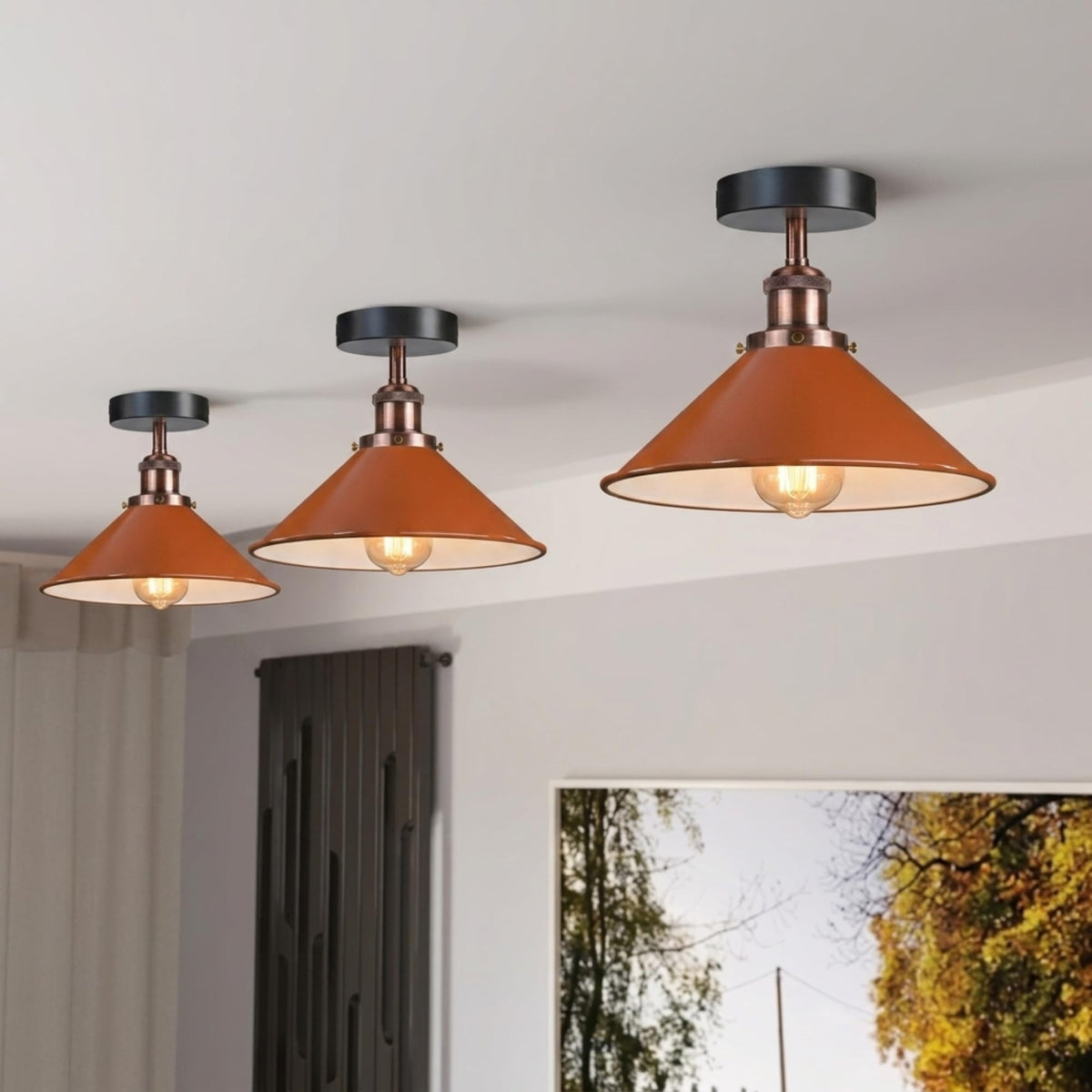 edison bulb ceiling fitting