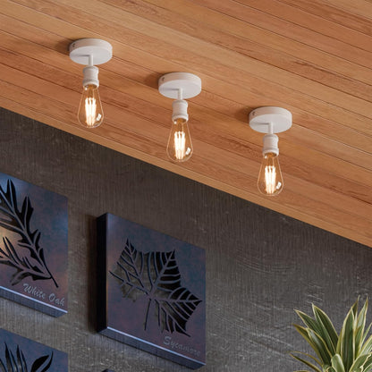 ceiling lamp light fitting