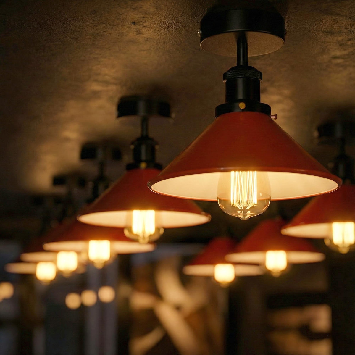 edison bulb ceiling fitting