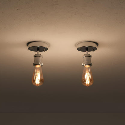 2 Pack Vintage Fully Earth Ceiling Light Flush Mount E27 Lamp~4083