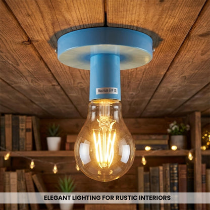 Vintage flush ceiling light la