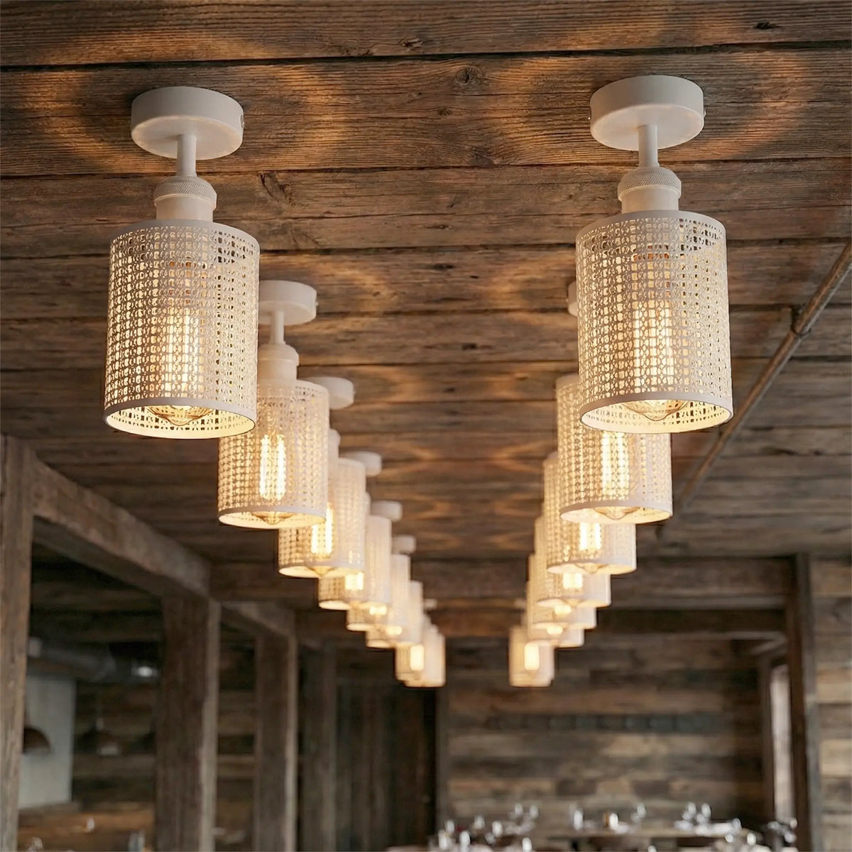 modern ceiling light