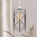 Modern Black metal Wire Cage fit for Living area