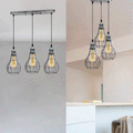 Vintage Industrial Metal Cage Ceiling Pendant Light ~3056