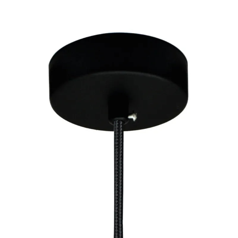 Black Ceiling Rose Single Point Drop Outlet Light Fitting