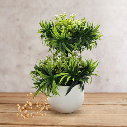 easy care office greenery