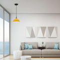 Single Head Pendant Light with Metal Shade-Application image
