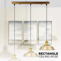 Industrial 3 Outlet Rectangle Ceiling Rose Ceiling Light Fitting Plate~3753 - Vintagelite