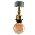 Industrial Adjustable Wall Light Holder French Gold~2544