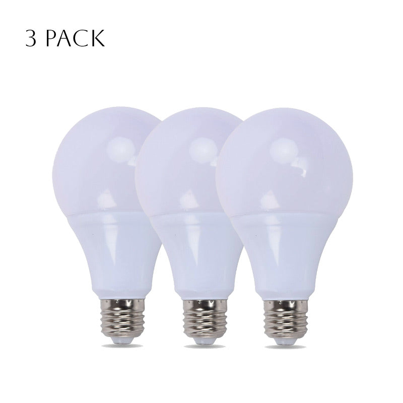 25W LED A60 E27 bulbs cool white 6000K