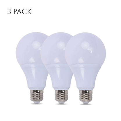 25W LED A60 E27 bulbs cool white 6000K