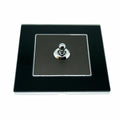 Toggle Wall Light Screw less 1 Gang Switch - Vintagelite