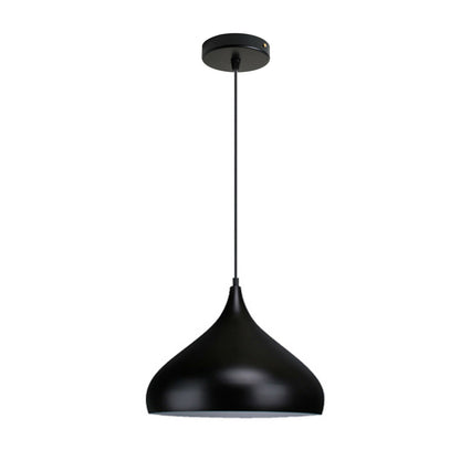 matt black pendant light