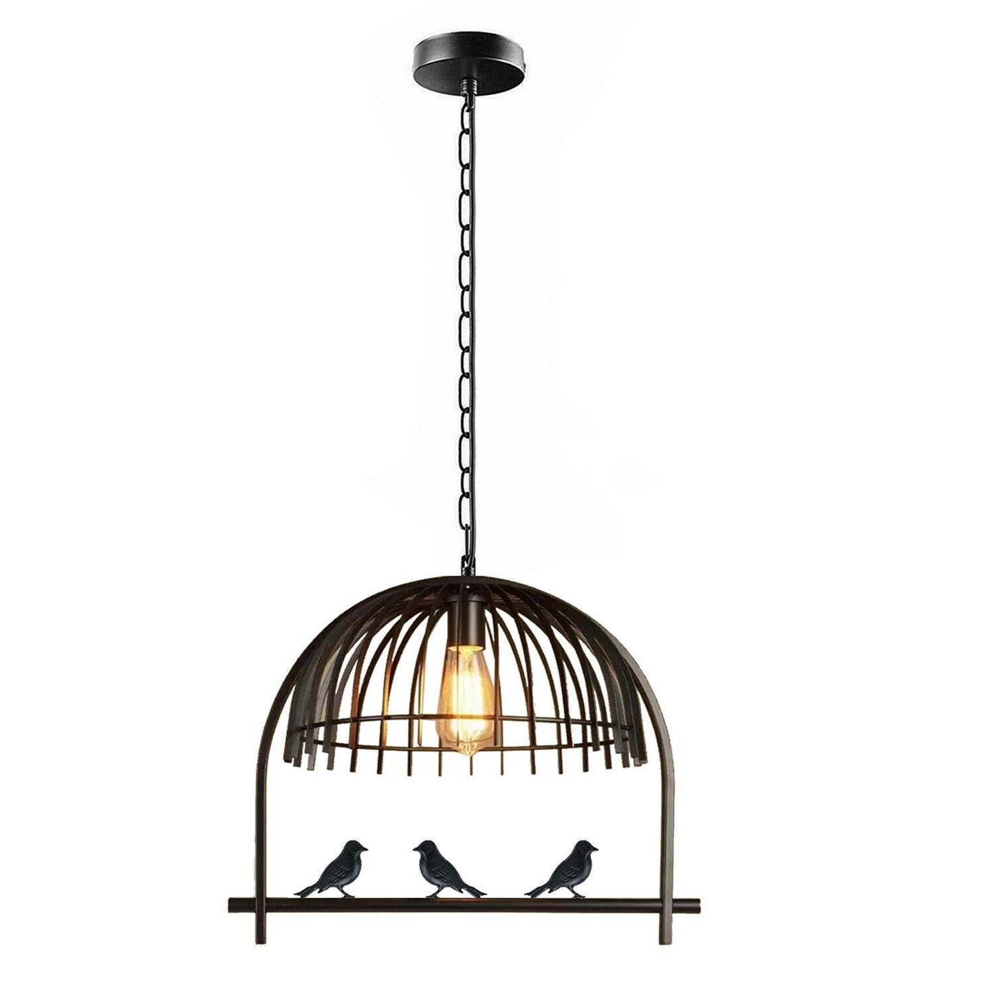 Industrial Retro Bird cage Light Shade Hanging Ceiling Light with Chain~2101